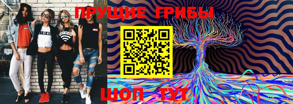 Галлюциногенные грибы Psilocybine cubensis  Галлюциногенные грибы Psilocybine cubensis  Коломна  закладки  Вход с VPN 