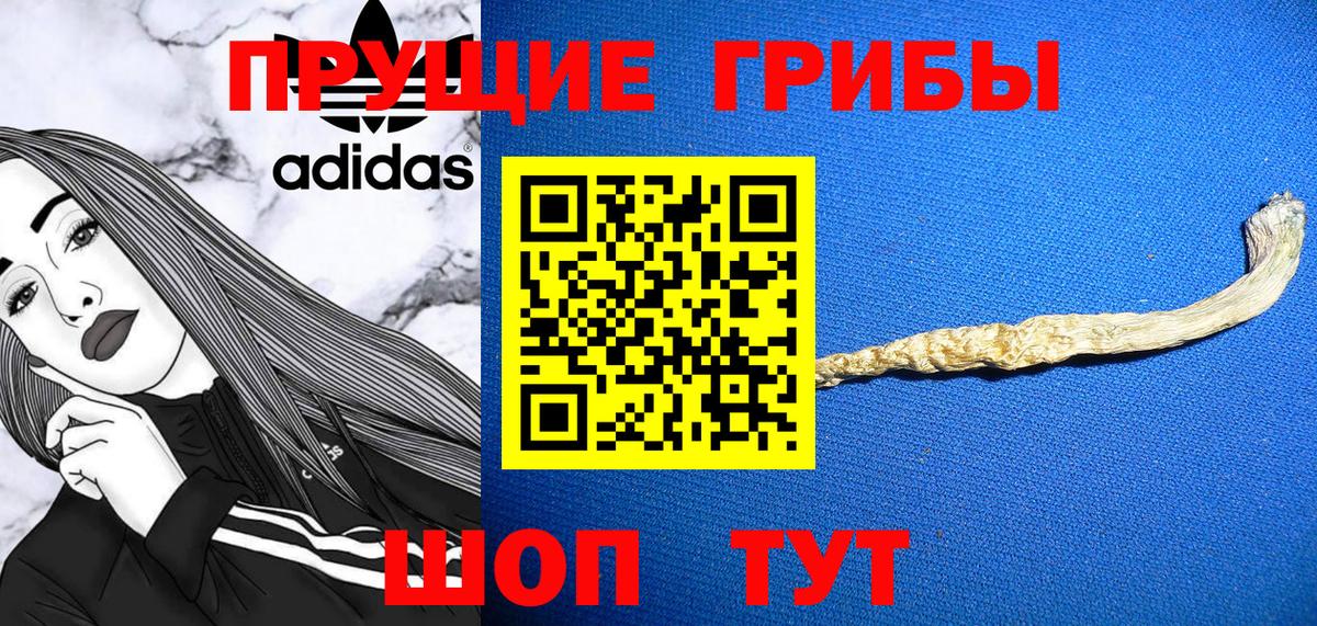 Псилоцибиновые грибы мицелий Коломна